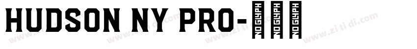 Hudson NY Pro字体转换